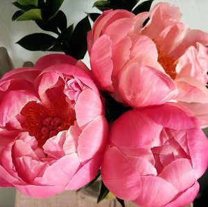 Meet your Posher, Margine